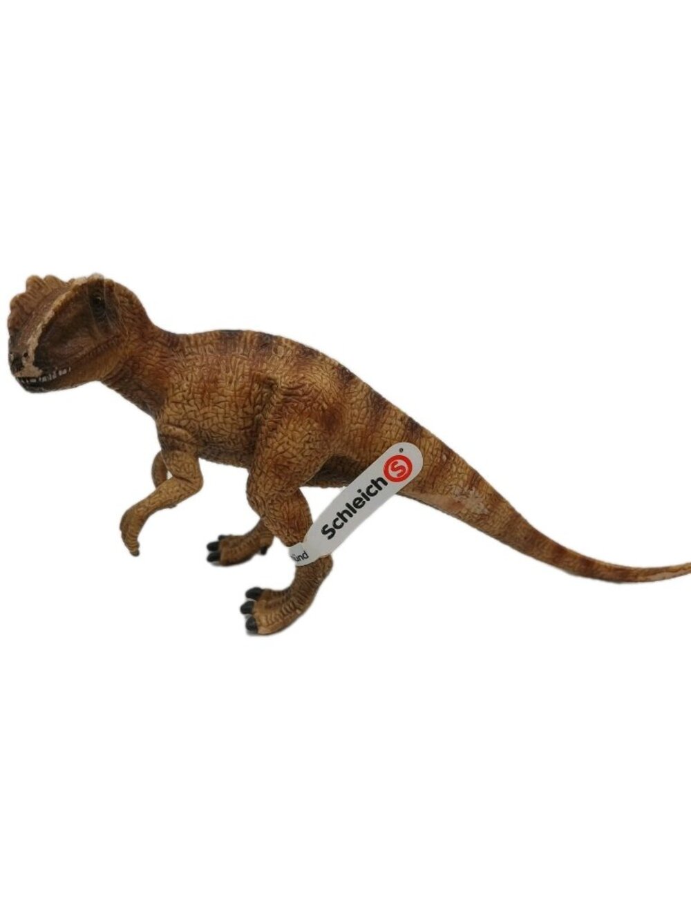 Schleich Allosaurus Dinosaur Toy Model Figure READ